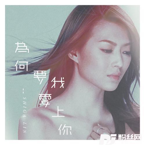 为何要我爱上你的专辑