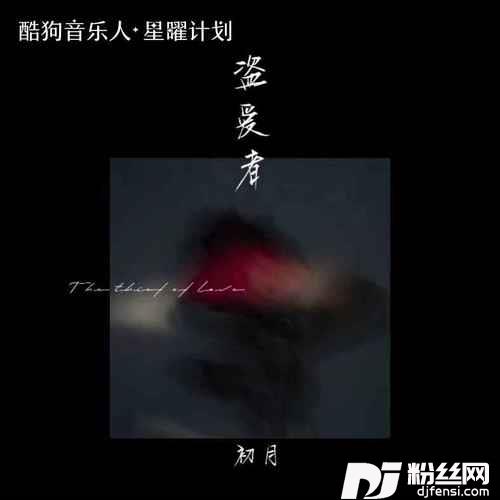 盗爱者的专辑
