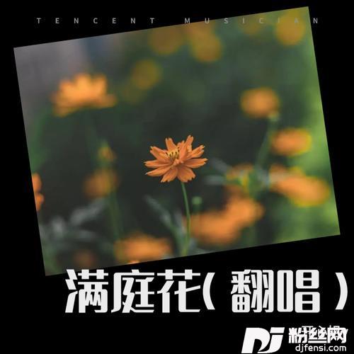 满庭花cover:陈瑞