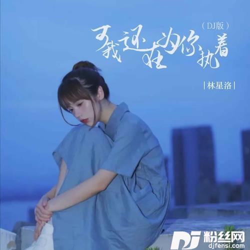 可我还在为你执着DJ版