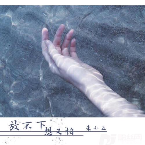 放不下想又怕