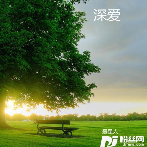 深爱的专辑