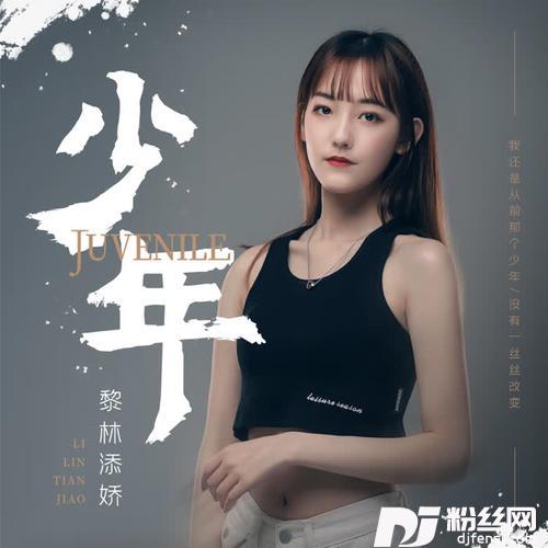 少年的专辑