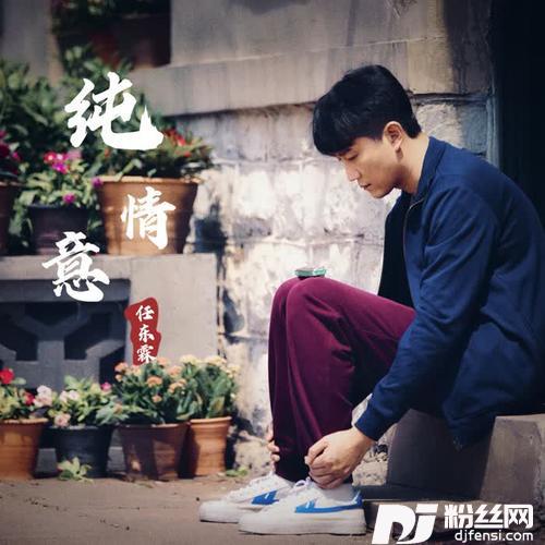 纯情意的专辑