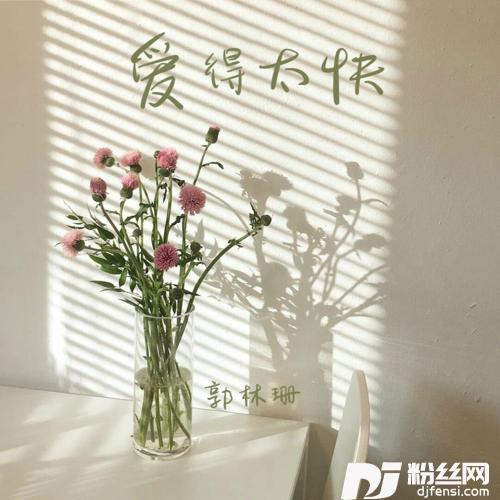 爱的太快