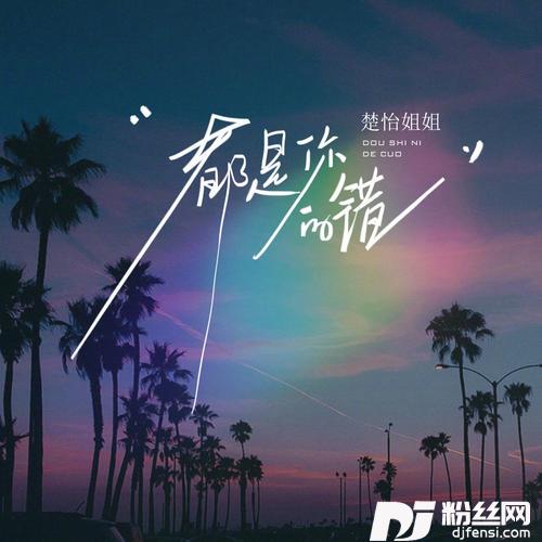 都是你的错Dj女生版的专辑图片