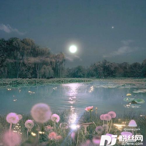 萱草花cover:张小斐的专辑