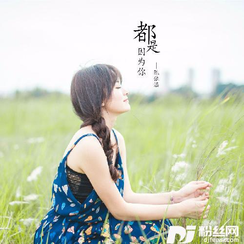 都是因为你的专辑