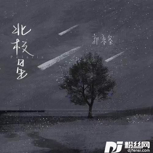 北极星