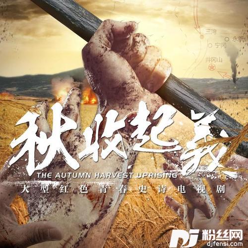 青春方向