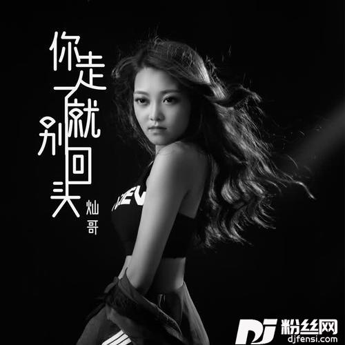 你走了就别回头