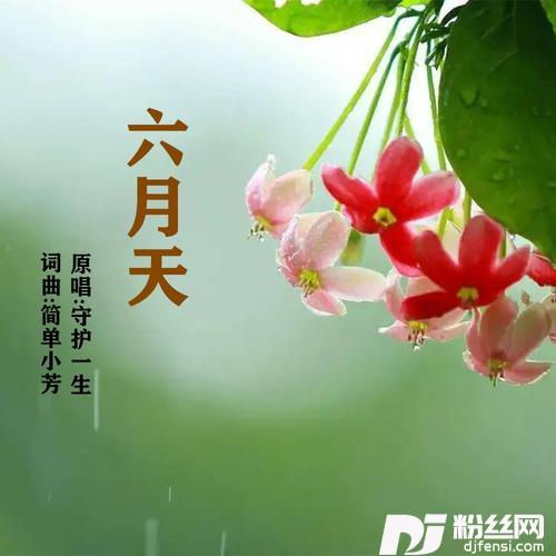 六月天的专辑