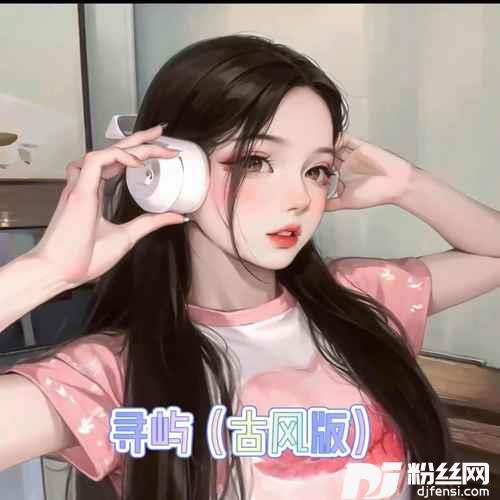 寻屿古风版的专辑