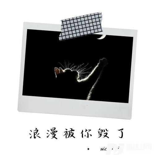 从不被你重视的专辑
