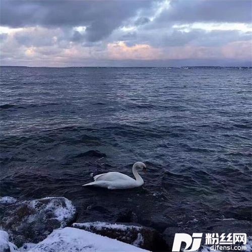 骨铭心事
