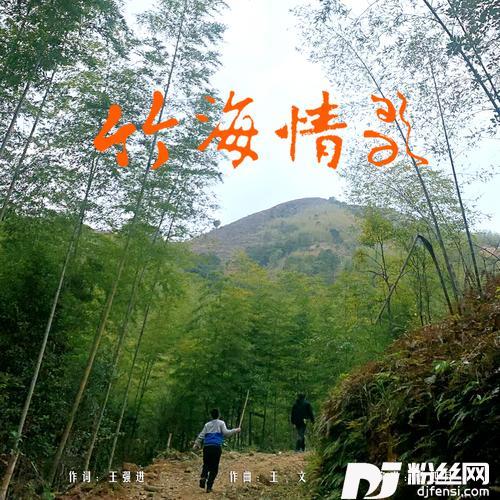 竹海情歌的专辑