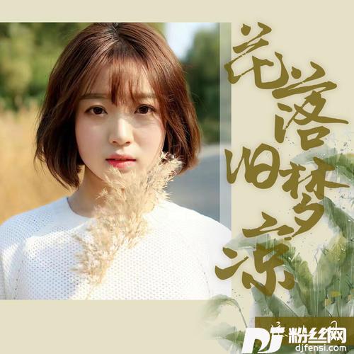 花落旧梦凉的专辑