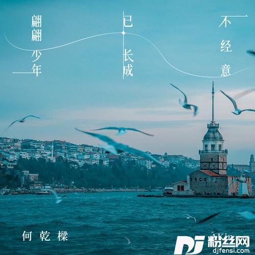 不经意已长成翩翩少年的专辑
