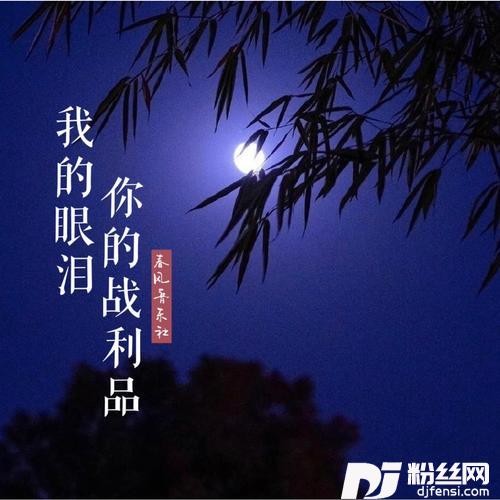 我的眼泪是你的战利品