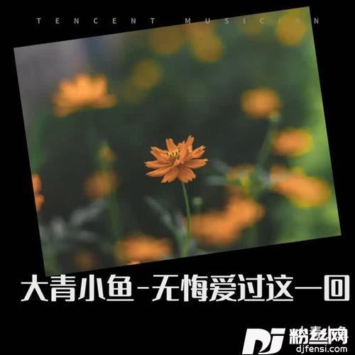 无悔爱过这一回cover:正云