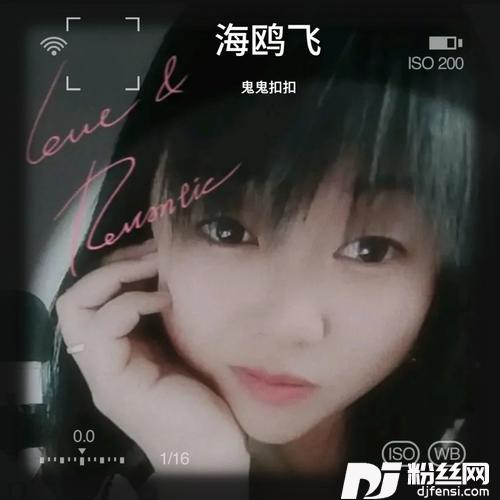 海鸥飞cover:龙梅子