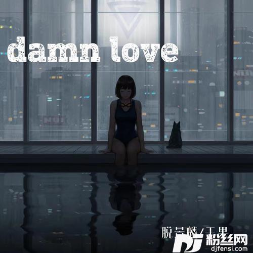 DamnLove的专辑