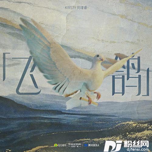 飞鸽