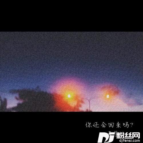 你还会回来吗