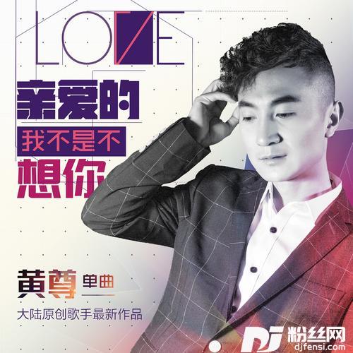 亲爱的我又想你了（dj何鹏Remix）Remix的专辑