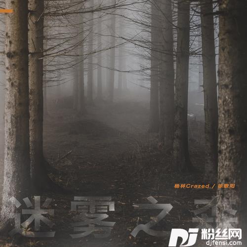 迷雾之森
