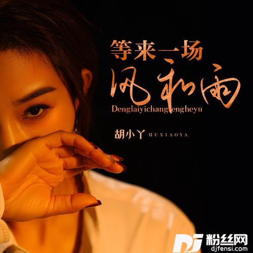 等来一场风和雨的专辑
