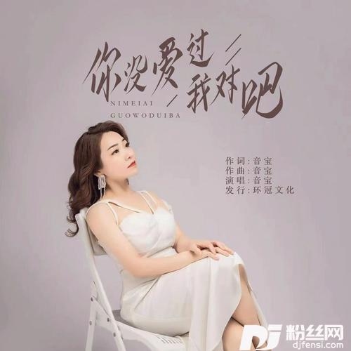 你没爱过我对吧