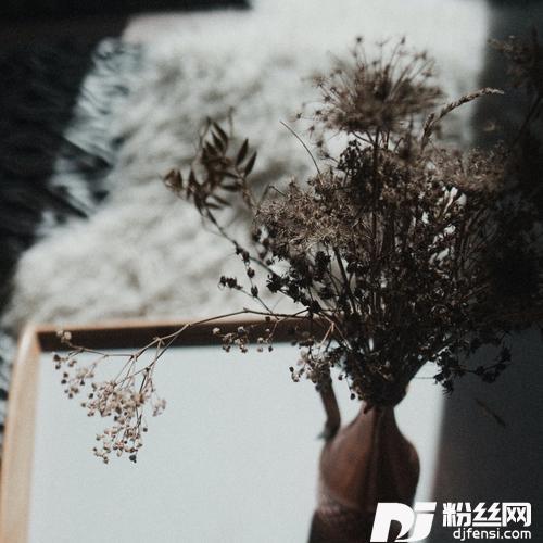 你没听过的歌的专辑