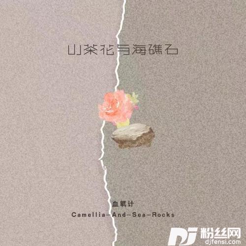 山茶花与海礁石的专辑