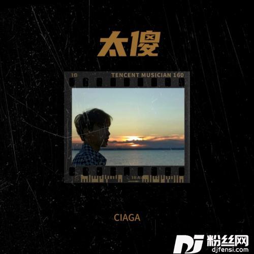 太傻的专辑