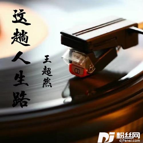 这趟人生路（烟嗓版）