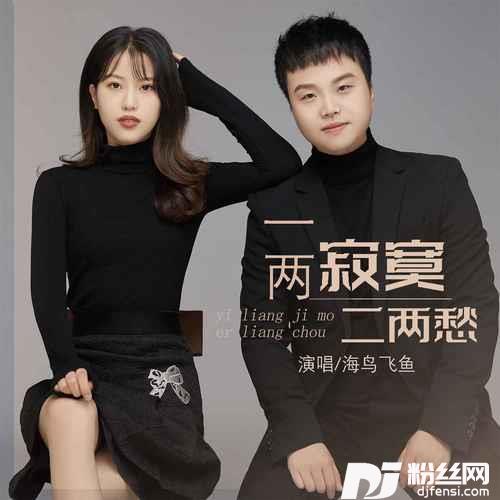 一两寂寞二两愁DJ默涵版