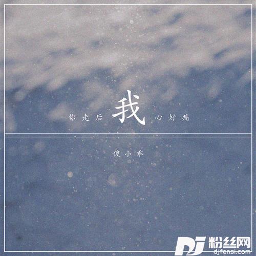 你走后我心好痛DJ可乐版