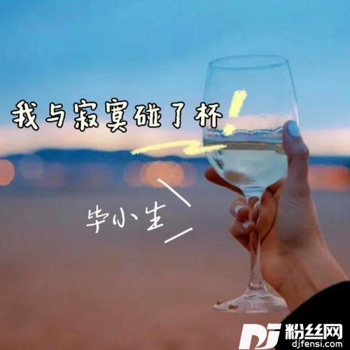 我与寂寞碰了杯