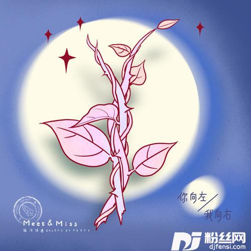你向左，我向右Meet&Miss
