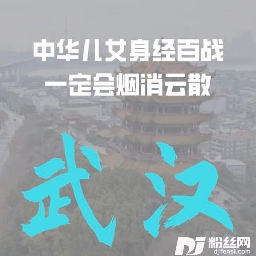 加油武汉