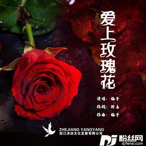 爱上玫瑰花