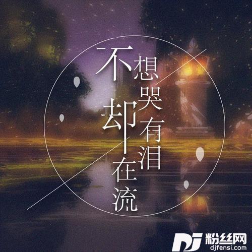 不想哭却有泪在流