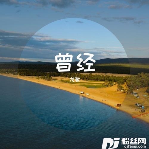 流浪的心无处安放