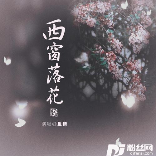西窗落花DJ沈念版1.1x的专辑