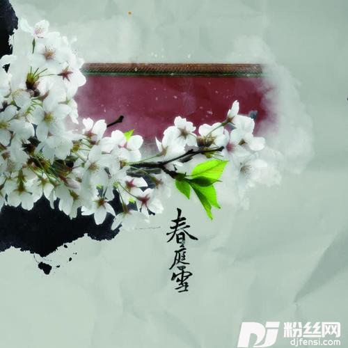 春庭雪的专辑