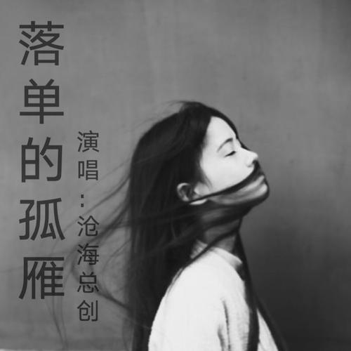 落单孤雁cover:魏佳艺