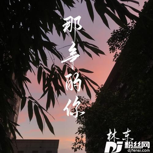 那年的你的专辑