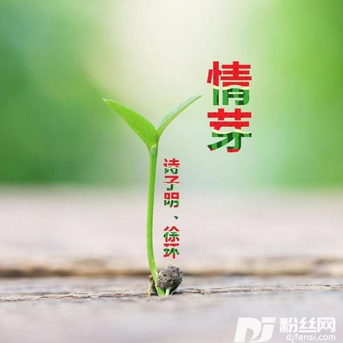 情芽