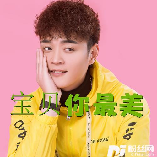 宝贝你最美DJ枫叶版